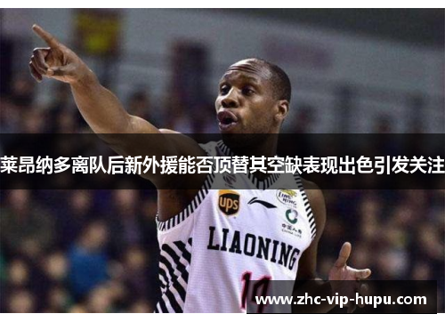 莱昂纳多离队后新外援能否顶替其空缺表现出色引发关注