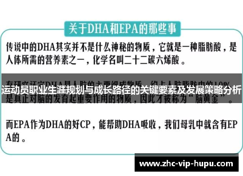 运动员职业生涯规划与成长路径的关键要素及发展策略分析