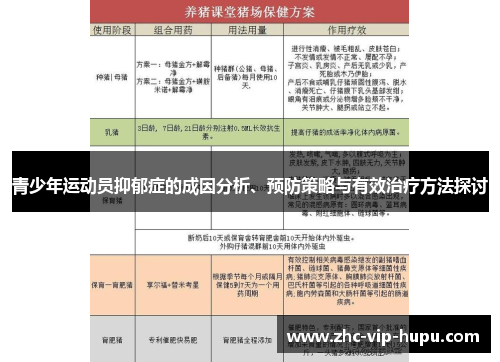 青少年运动员抑郁症的成因分析、预防策略与有效治疗方法探讨